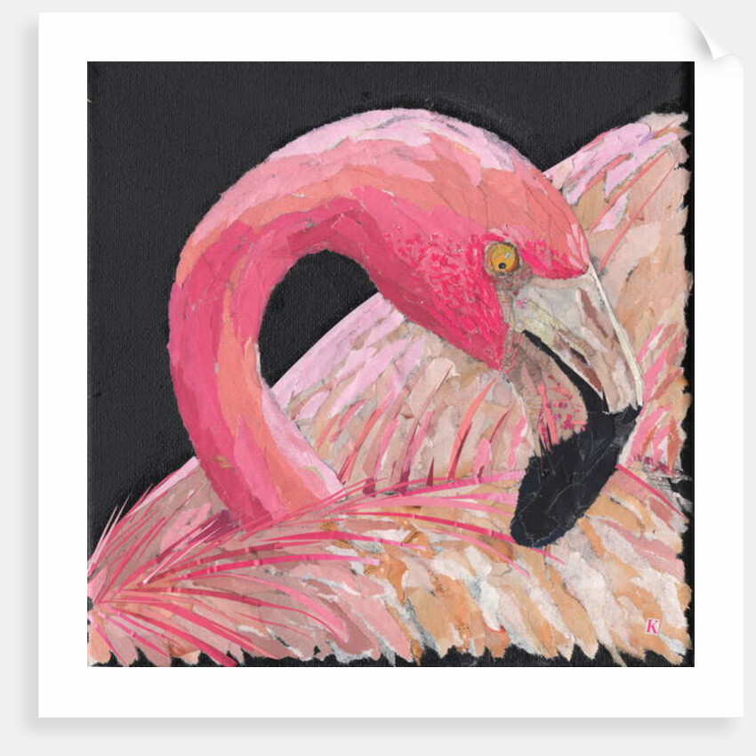 Flamingo, 2018 by Kirstie Adamson