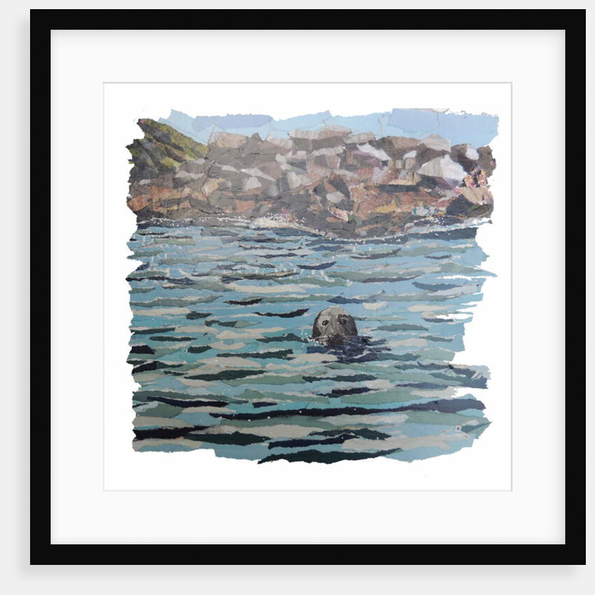 Seal Island, 2018 by Kirstie Adamson