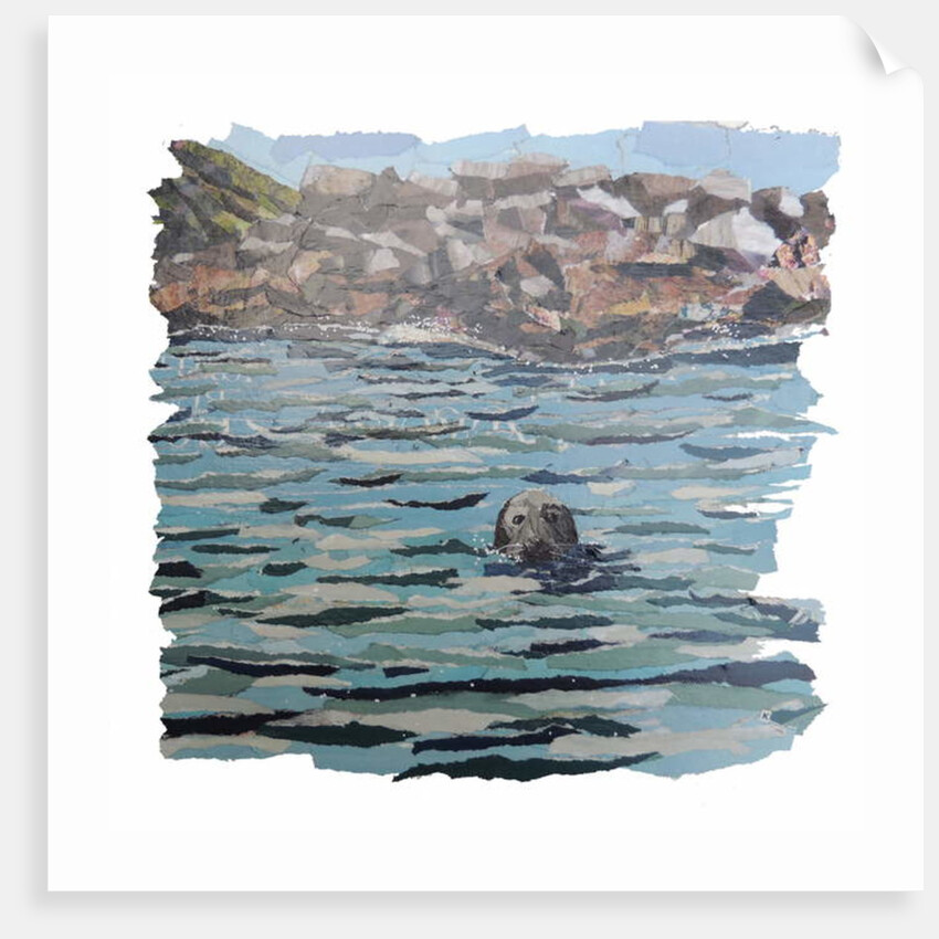 Seal Island, 2018 by Kirstie Adamson