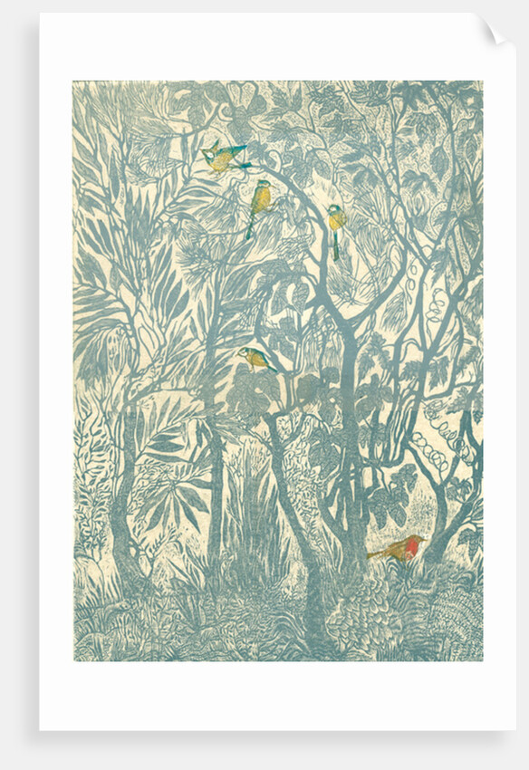 Bird watching from the kitchen window: robin, 2012 by Mary Kuper