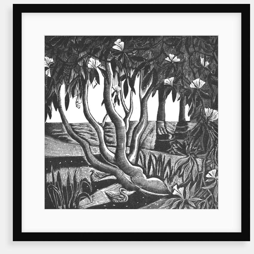 Rhododendrons, Holland Park, 2006 by Mary Kuper