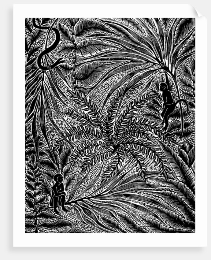 Jungle, 1993 by Mary Kuper