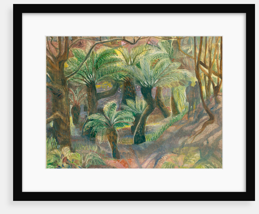 Tree ferns, Trewidden, 2012 by Mary Kuper