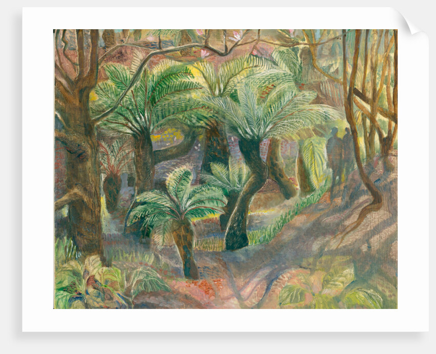 Tree ferns, Trewidden, 2012 by Mary Kuper