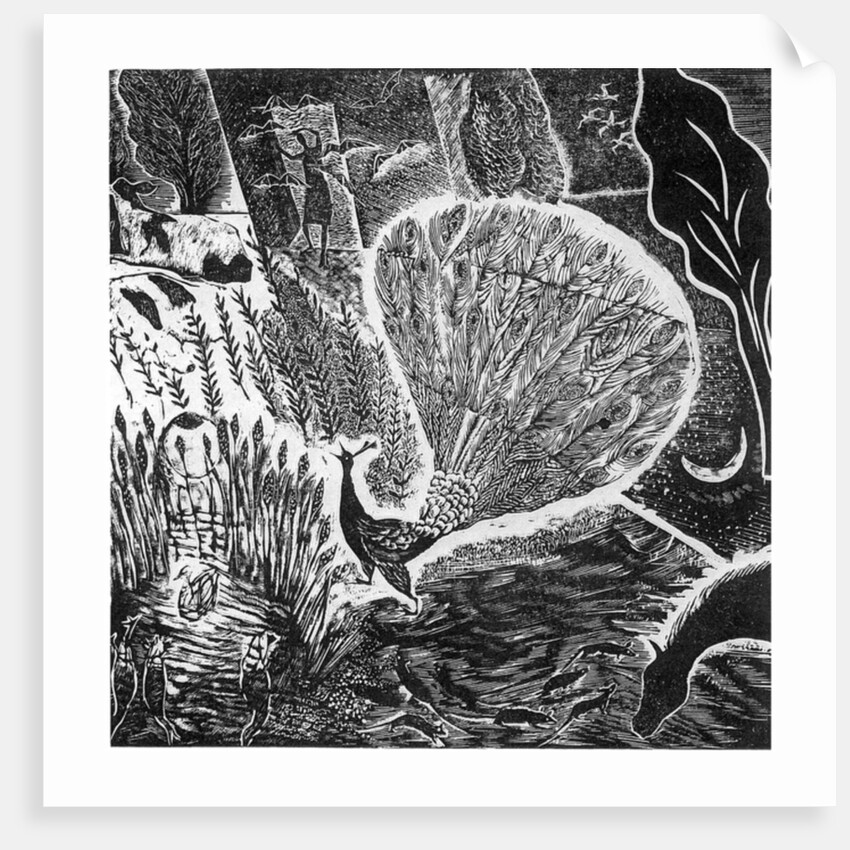 Signs of an approaching storm, 2004 by Mary Kuper