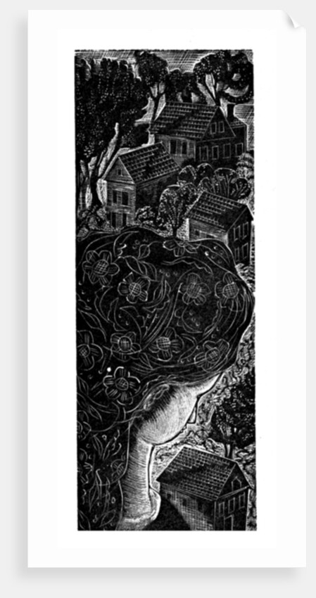 Home, 2006 by Mary Kuper