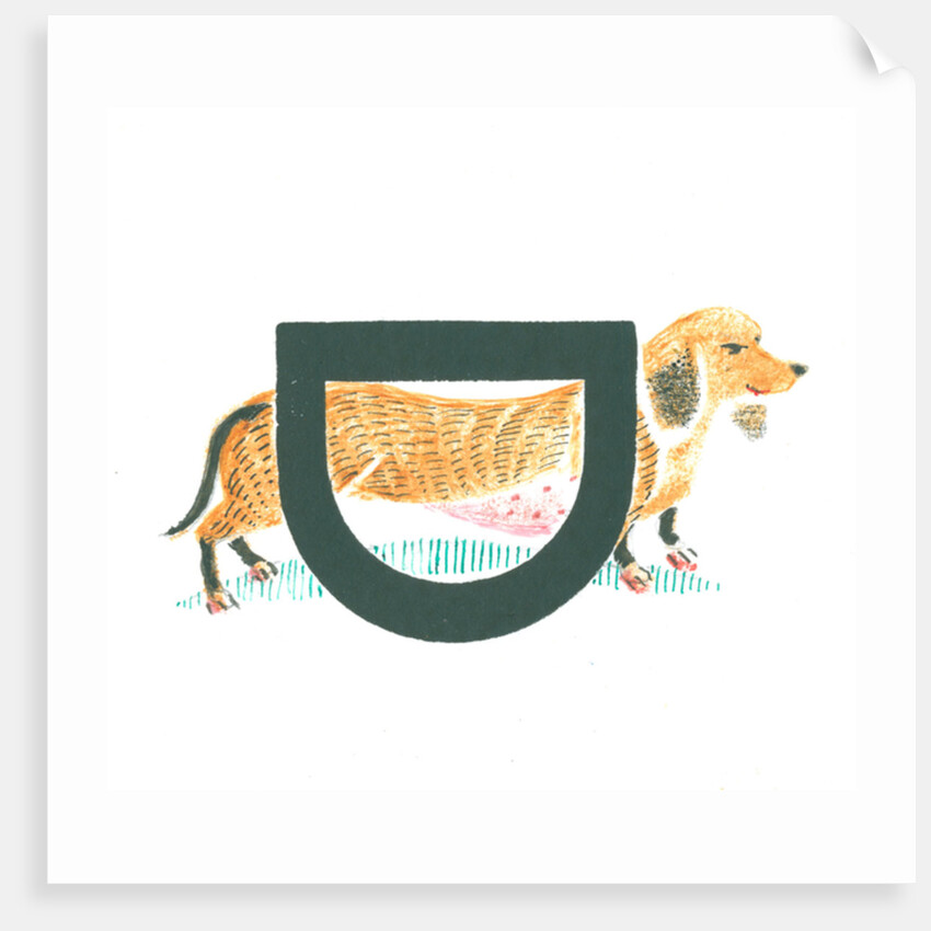 D is for dachshund, 2015 by Mary Kuper