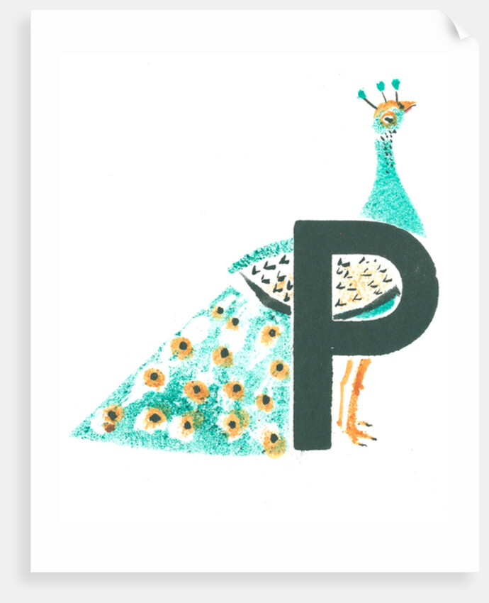 P is for peacock, 2015 by Mary Kuper