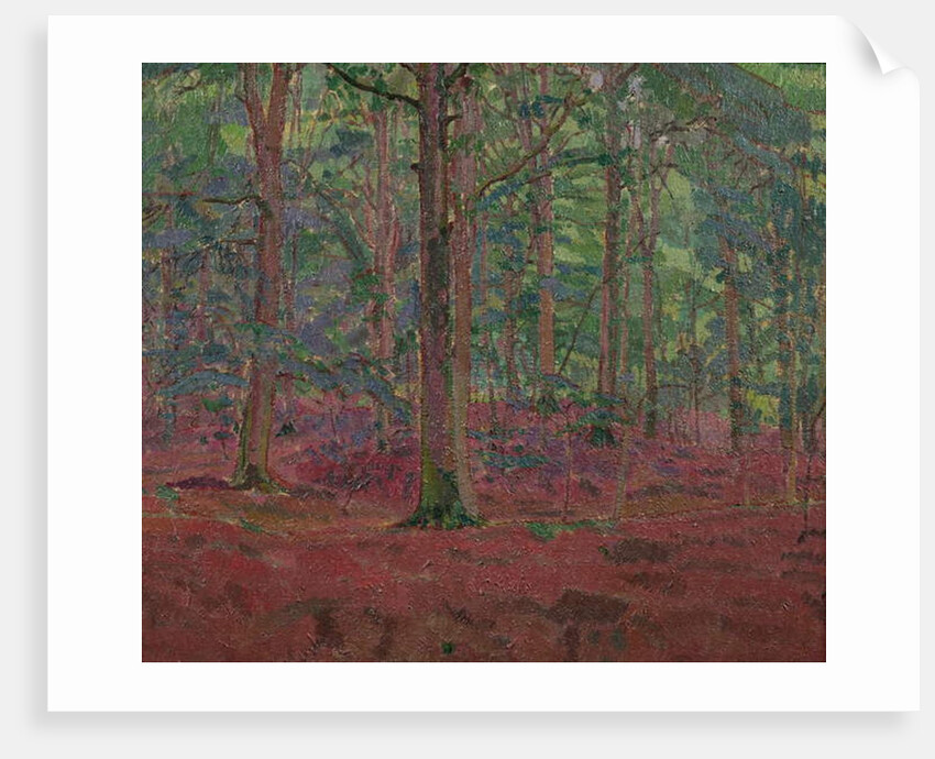 A Beech Wood by Harold Gilman