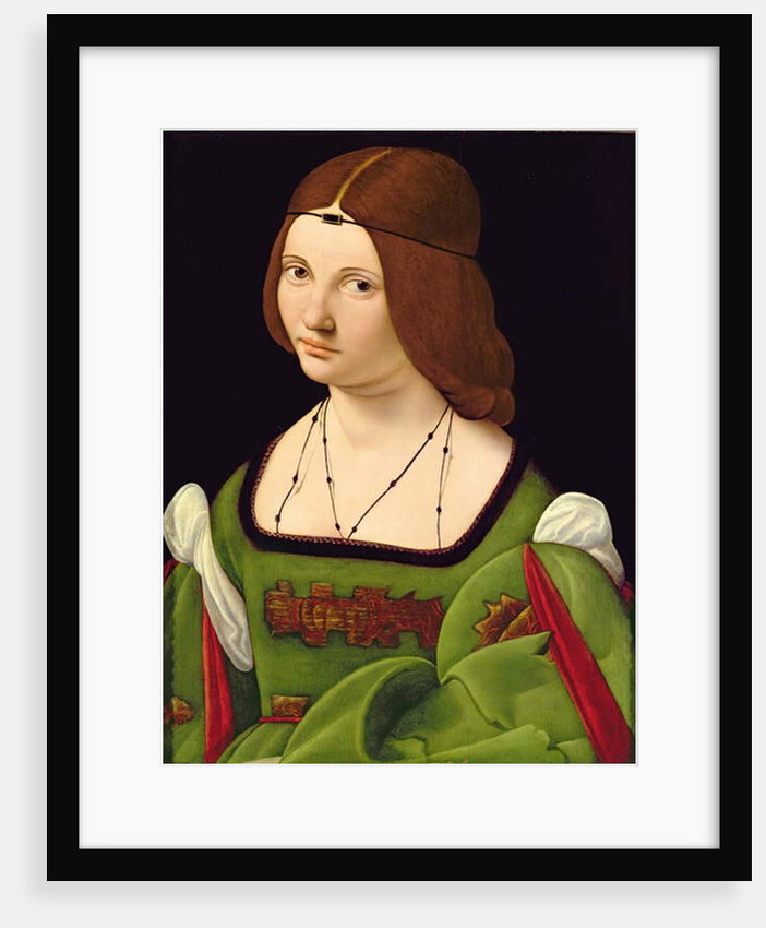 Portrait of a Lady by Giovanni Antonio Boltraffio