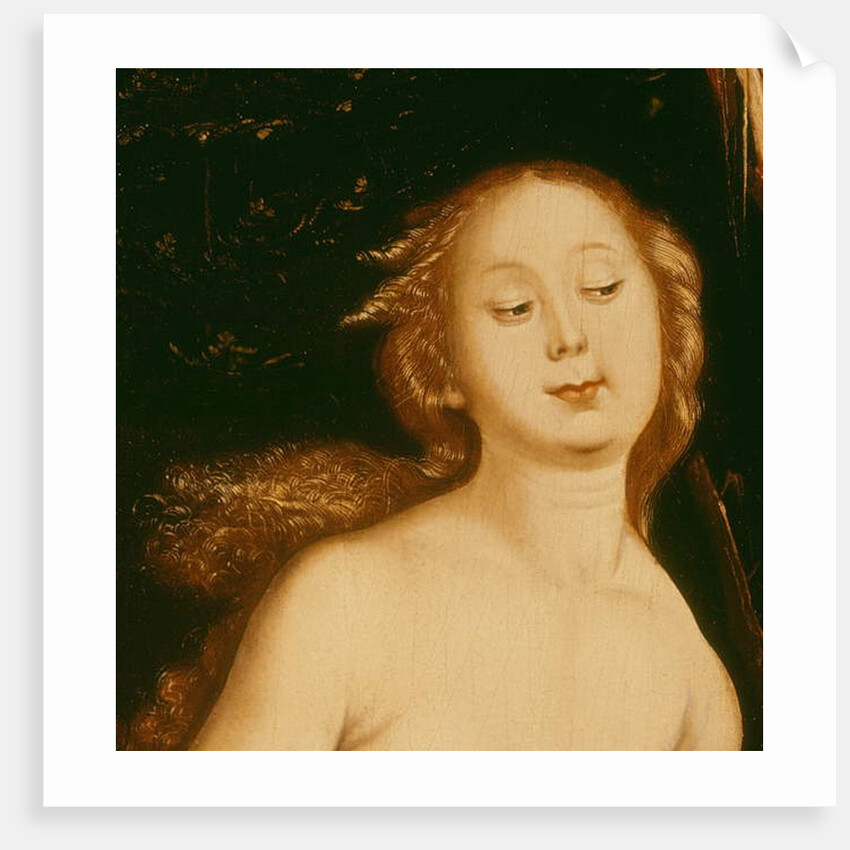 Detail from Eve, the Serpent and Death by Hans Baldung Grien