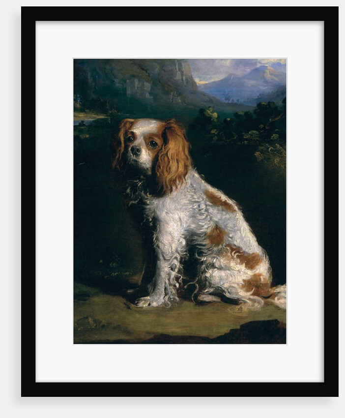 A King Charles Spaniel by Philip Reinagle