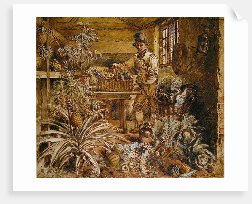 A Gardener in a Potting Shed with Pineapples and Various Vegetables by Alfred William Hunt