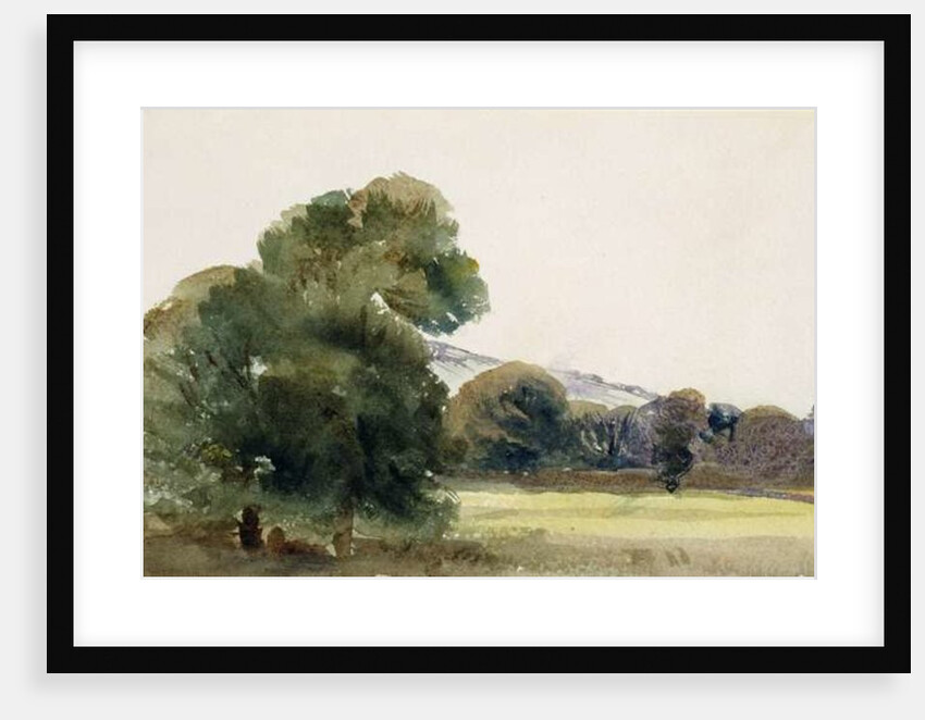 Trees in a Field by Peter de Wint