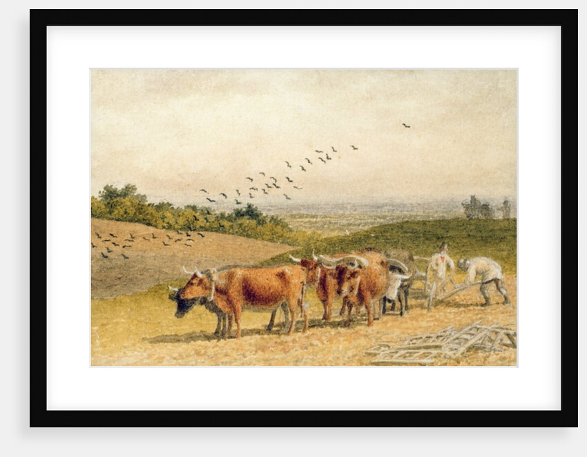 Oxen Ploughing a Downland Field by Robert Hills