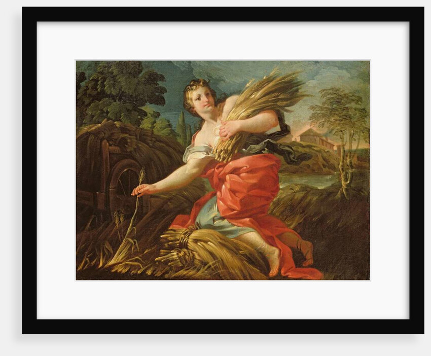 Ruth the Gleaner by Corrado Giaquinto