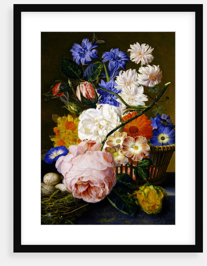 Roses, morning glory, narcissi, aster and other flowers in a basket, with eggs in a nest on a marble ledge, 1744 by Jan van Huysum