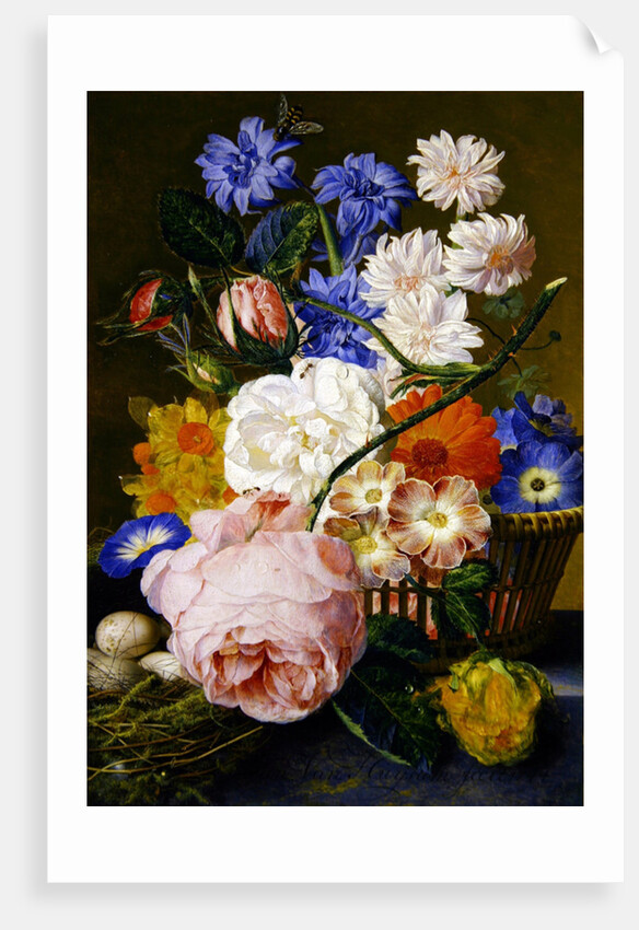 Roses, morning glory, narcissi, aster and other flowers in a basket, with eggs in a nest on a marble ledge, 1744 by Jan van Huysum