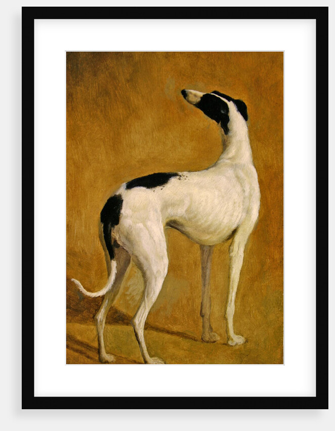 Study of a Greyhound by Jacques-Laurent Agasse