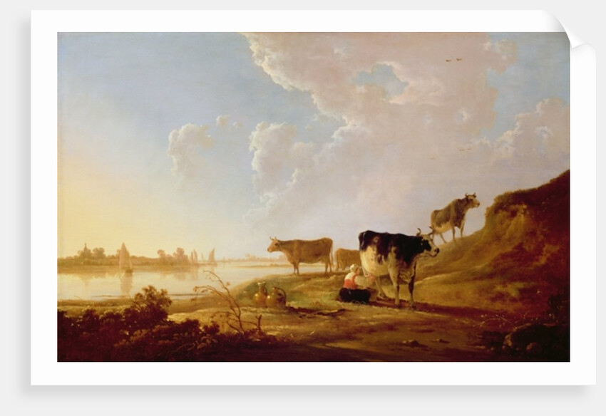 Cows near a River by Aelbert Cuyp