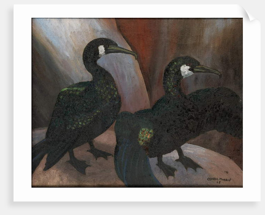 Green Cormorants, 1925 by Cedric Morris