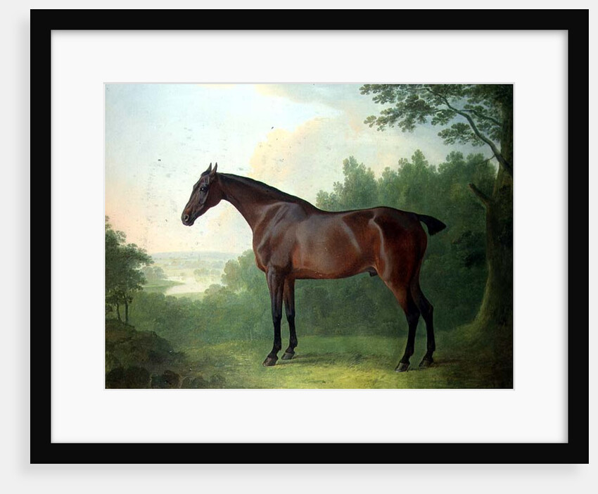 Marquis, a bay hunter in a landscape, 1811 by John Boultbee