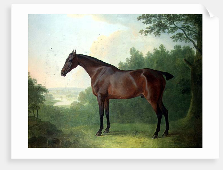 Marquis, a bay hunter in a landscape, 1811 by John Boultbee
