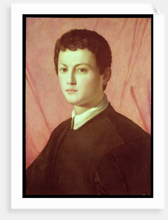 Portrait of a young man by Agnolo di Cosimo Bronzino
