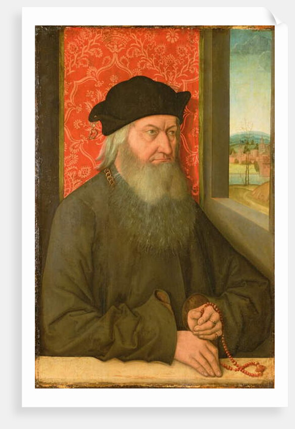 Portrait of a Nobleman by Bernhard Strigel