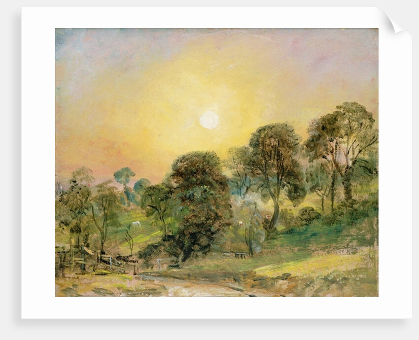 Trees on Hampstead Heath at Sunset by John Constable