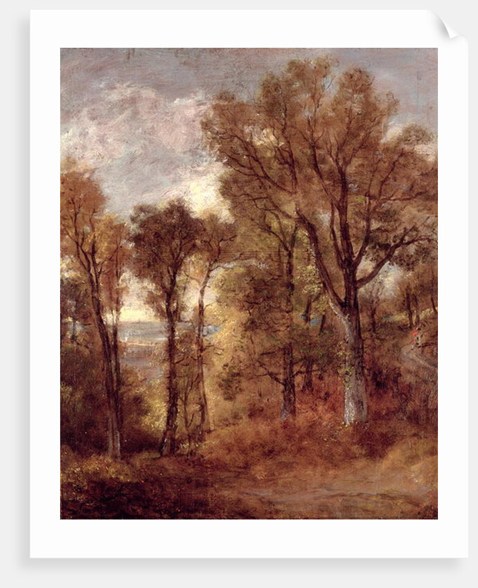 Woodland View in Suffolk by John Constable