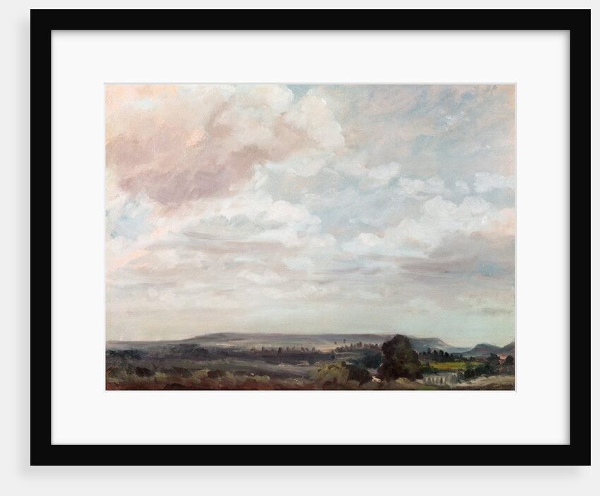 View in Wiltshire by John Constable