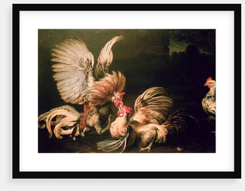 Fighting Cocks by Frans Snyders or Snijders