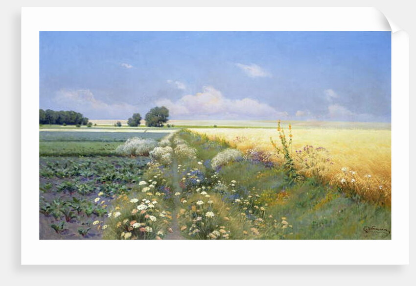 Summer Landscape by Eugeniusz Wrzeszcz