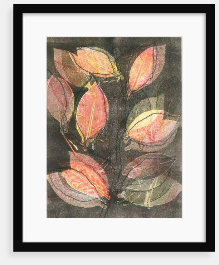 Midnight Garden V, 2015 by Stephen Dow