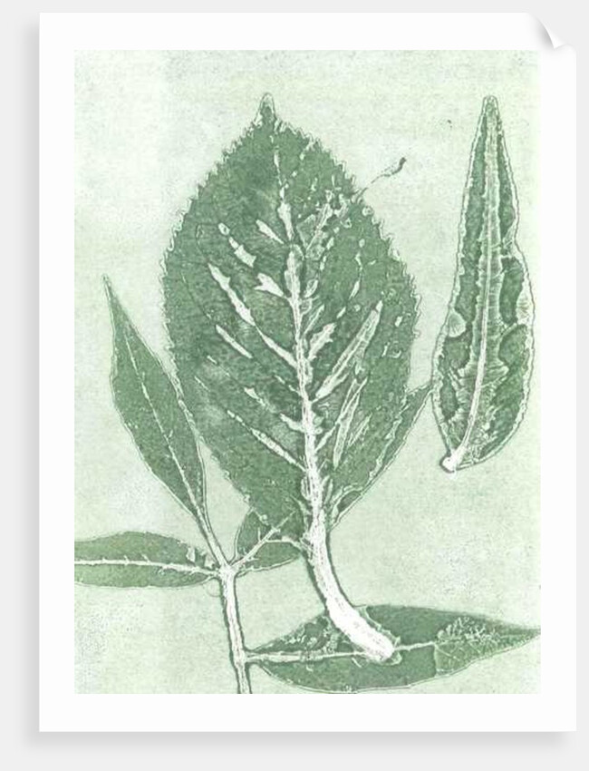 Gone IX, 2015 by Stephen Dow