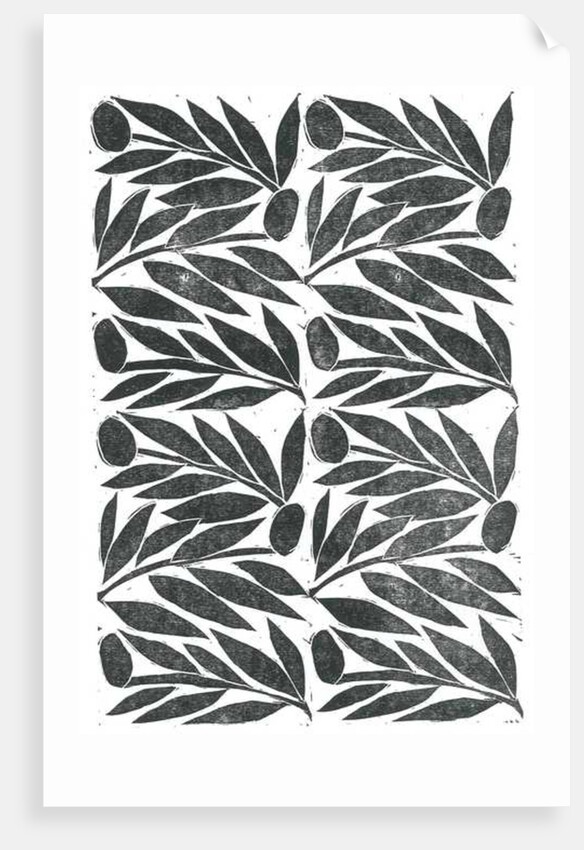 Olive Branches, 2015 by Stephen Dow