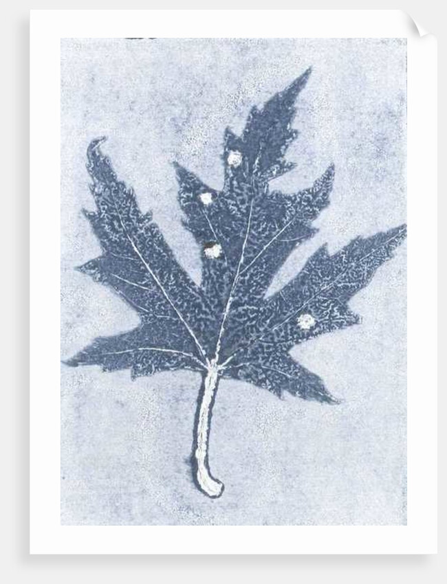 Gone II, 2015 by Stephen Dow