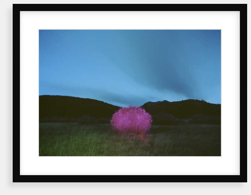 Painting in the Dark, 2015 by Carli Choi