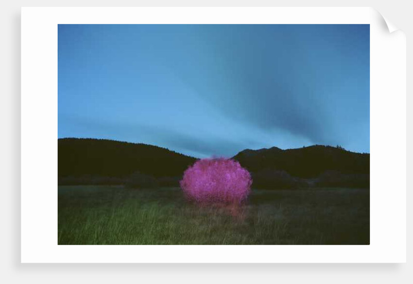 Painting in the Dark, 2015 by Carli Choi