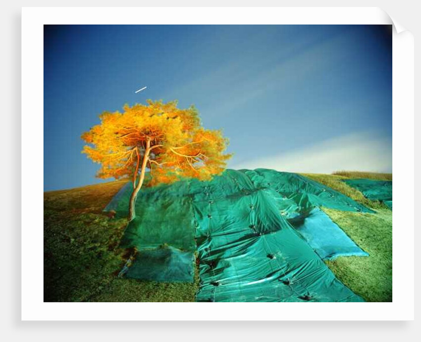 Painting in the Dark, 2011 by Carli Choi