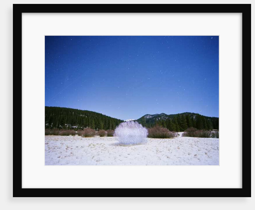 Painting in the Dark, 2015 by Carli Choi