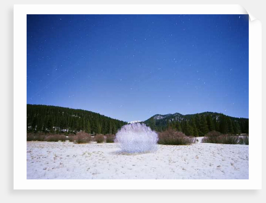 Painting in the Dark, 2015 by Carli Choi