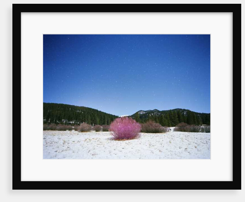 Painting in the Dark, 2015 by Carli Choi