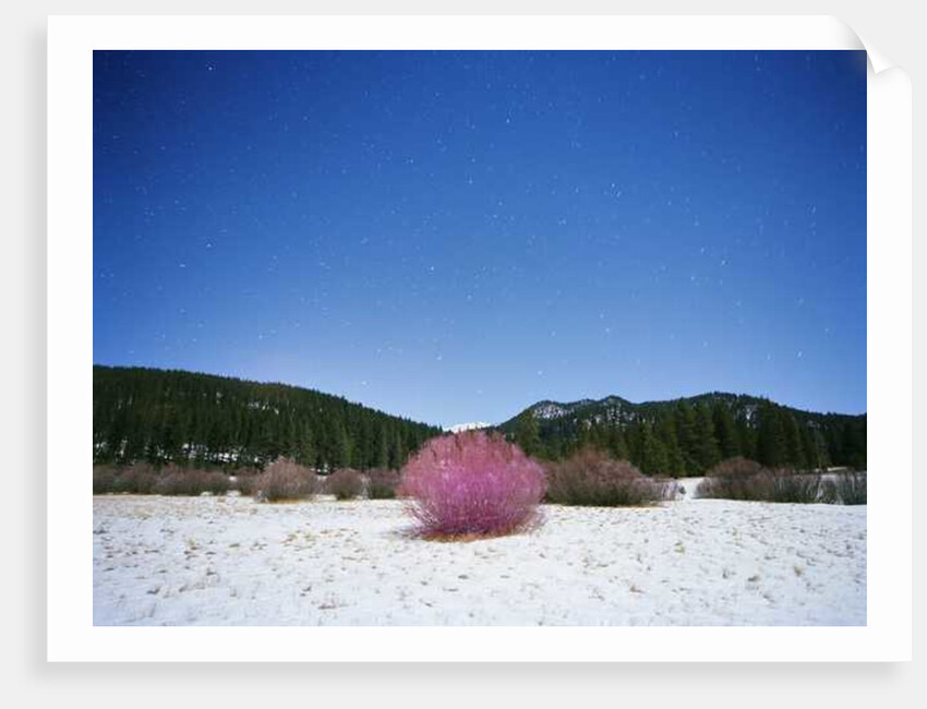 Painting in the Dark, 2015 by Carli Choi