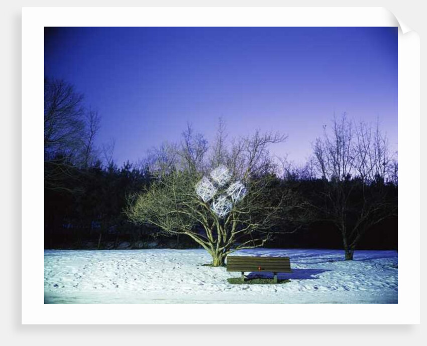 Painting in the Dark, 2012 by Carli Choi