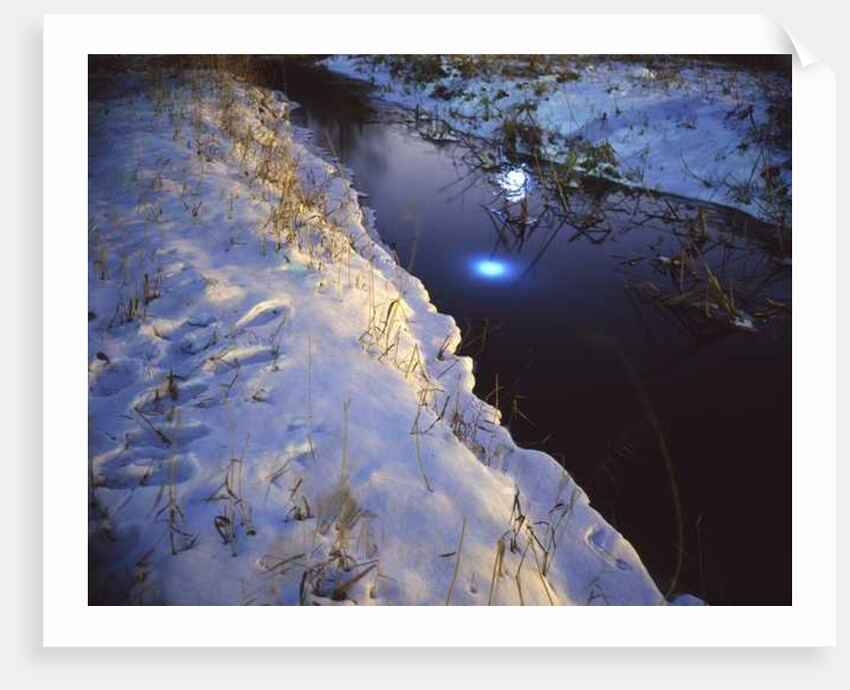Painting in the Dark, 2011 by Carli Choi