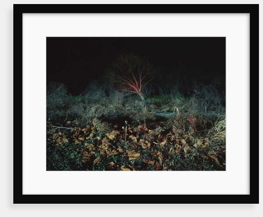 Painting in the Dark, 2011 by Carli Choi