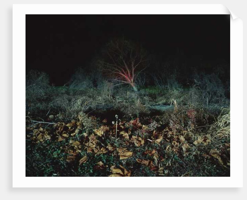 Painting in the Dark, 2011 by Carli Choi