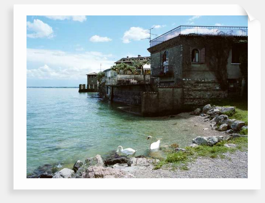 Italy, 2013 by Carli Choi